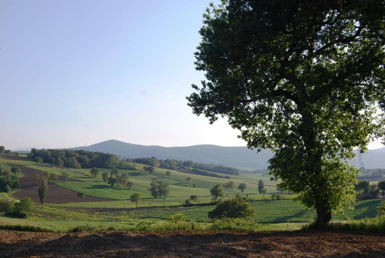 Bilocale Verde Umbria Montecastrilli Εξωτερικό φωτογραφία